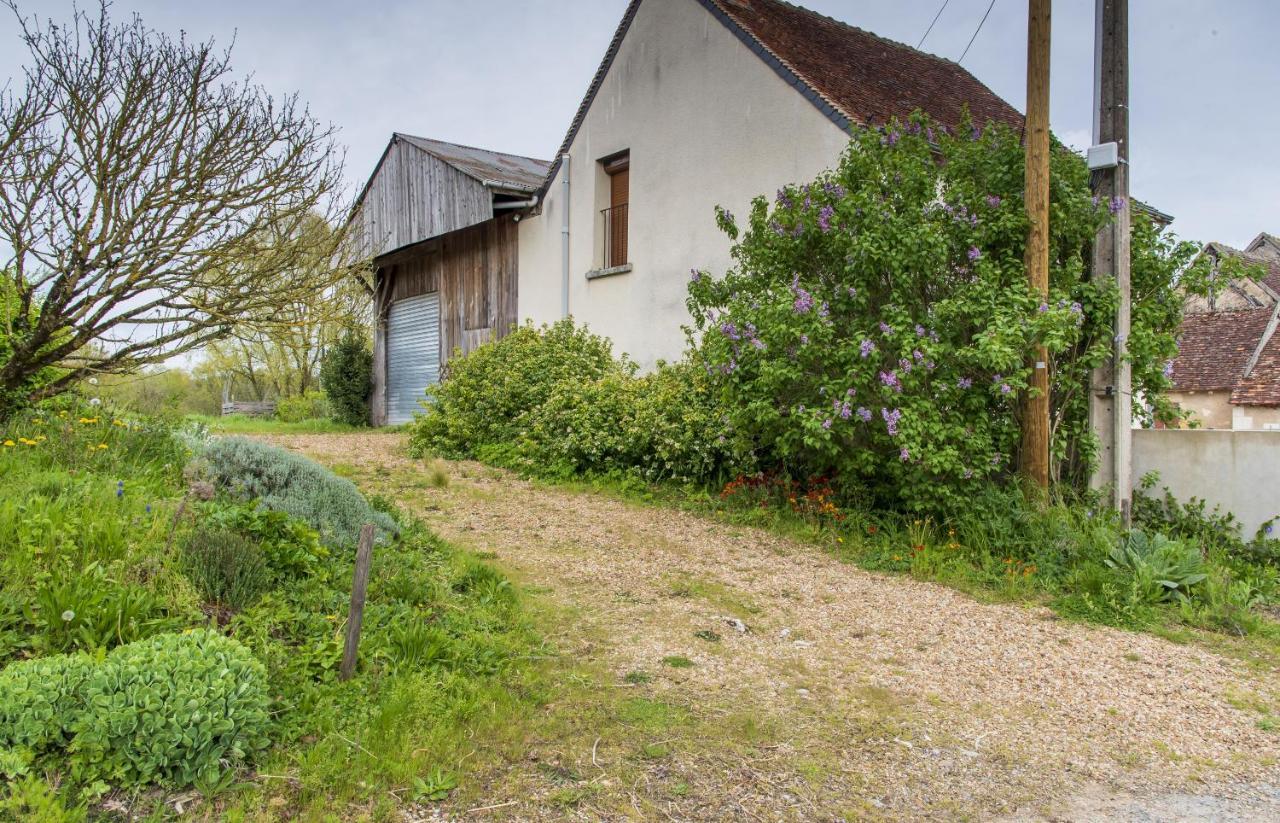 Le Beverly A 9 Min De Beauval Châteauvieux Extérieur photo